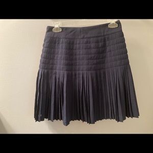JCrew Navy skirt